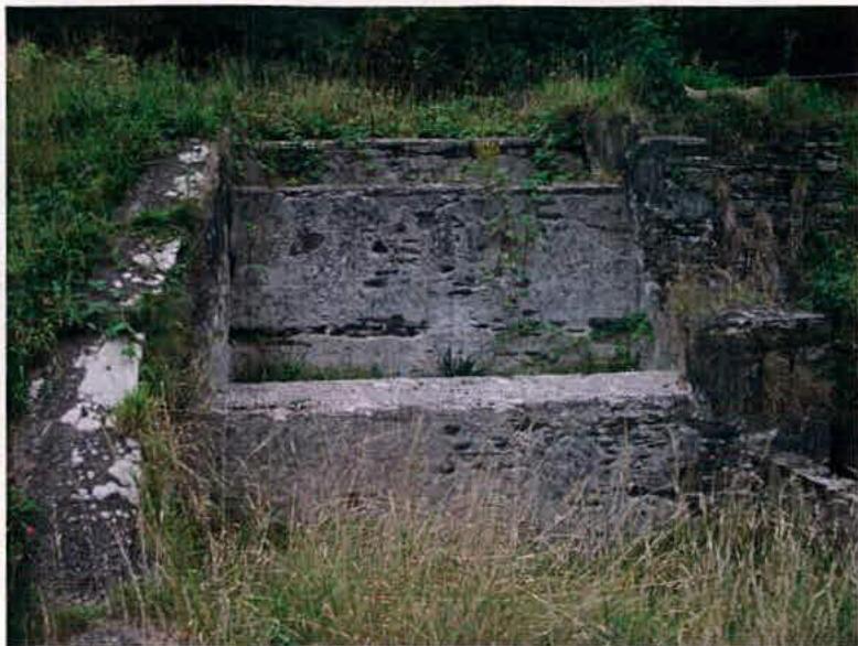A photograph showing a dilapidated concrete structure, possibly steps or a retaining wall, heavily overgrown with vegetation.