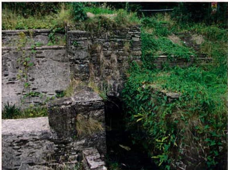 A photograph showing the ruins of a stone structure with crumbling walls and significant overgrown vegetation, likely the laundry building mentioned in the application.