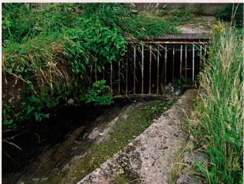 A photograph showing an overgrown concrete drainage channel or ditch with a metal grate covering the opening.