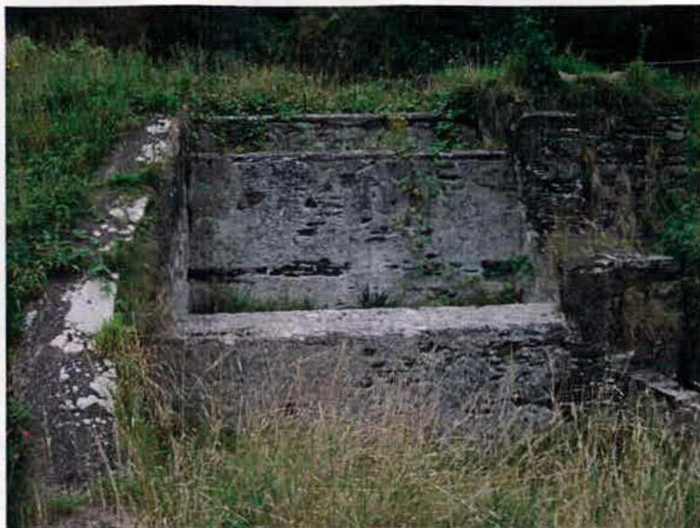 A photograph showing a derelict concrete structure, likely a foundation or retaining wall, surrounded by overgrown vegetation and weeds.