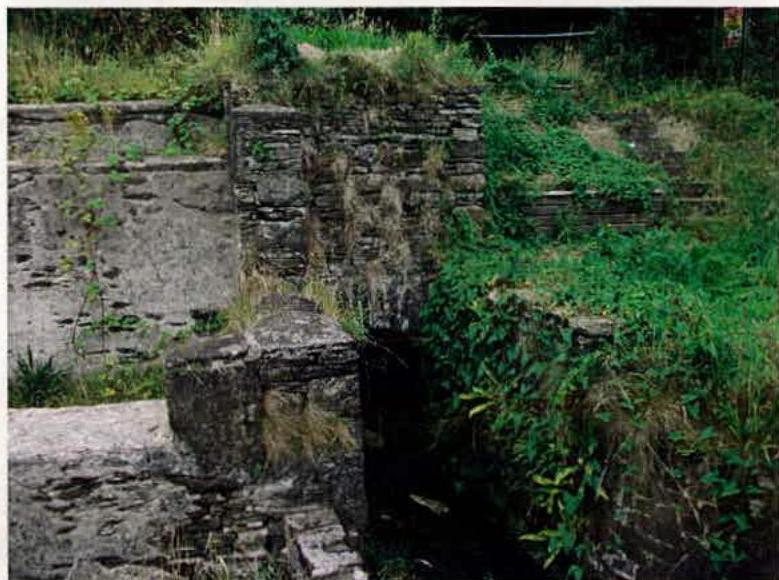 A photograph showing a dilapidated stone wall or foundation heavily overgrown with vegetation, likely part of the existing structures slated for demolition.