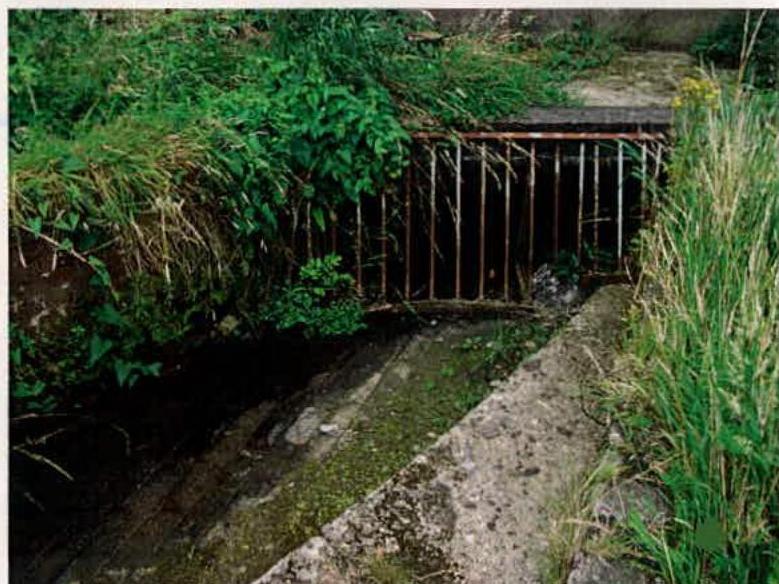A photograph showing a concrete drainage channel or culvert covered by a rusty metal grate, surrounded by overgrown vegetation.