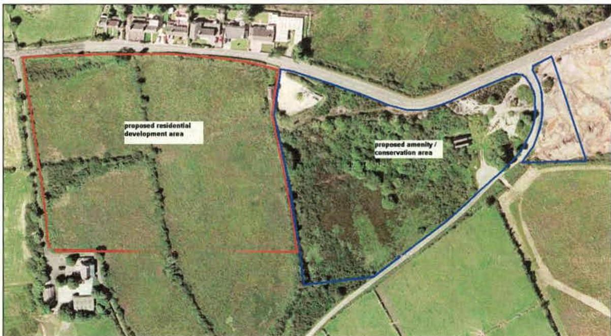 An aerial site plan showing a large green field outlined in red labeled 'proposed residential development area' and an adjacent wooded area outlined in blue labeled 'proposed amenity / conservation area'.
