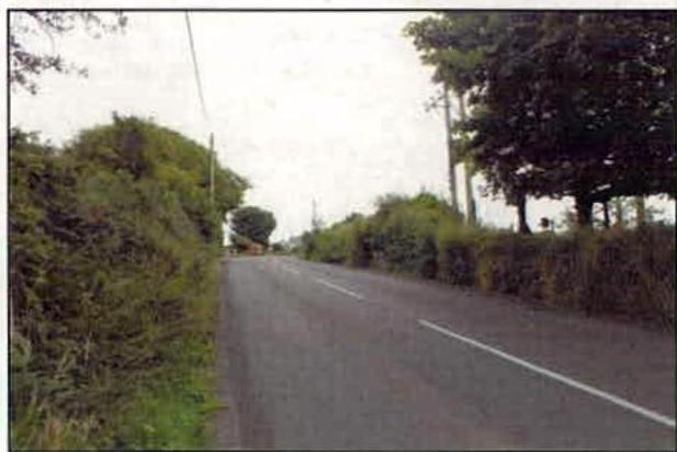 A photograph depicting a paved rural road stretching into the distance, bordered by dense green hedges and trees on both sides.