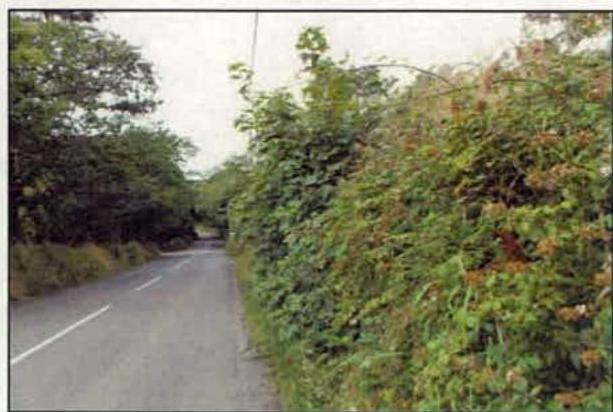 photograph from page 12