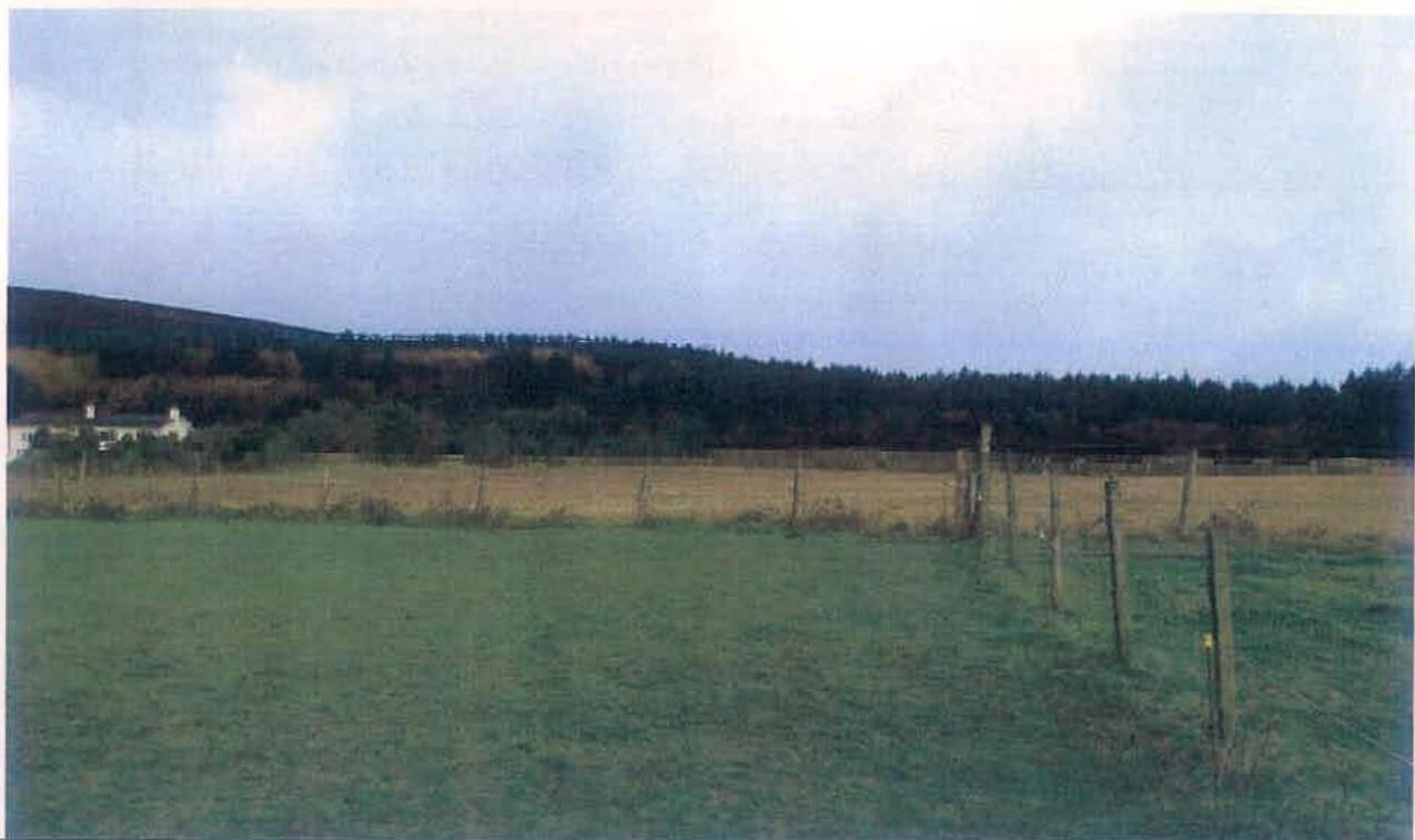 A photograph showing a rural landscape with a green field in the foreground, a wooden fence line, and a tree-covered hill in the background with a white house visible on the left.