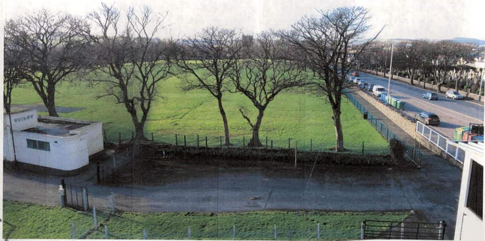 A photograph showing a grassy field bordered by a road with parked cars and a line of large trees. Small white structures and fencing are visible in the foreground.