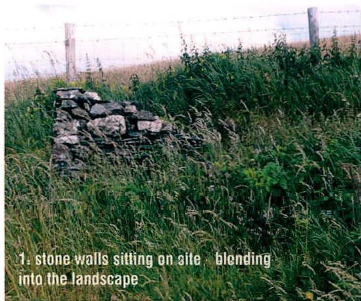 A photograph showing a grassy field with a low, crumbling dry stone wall in the foreground and a wire fence in the background. Text overlay identifies the feature as stone walls blending into the landscape.
