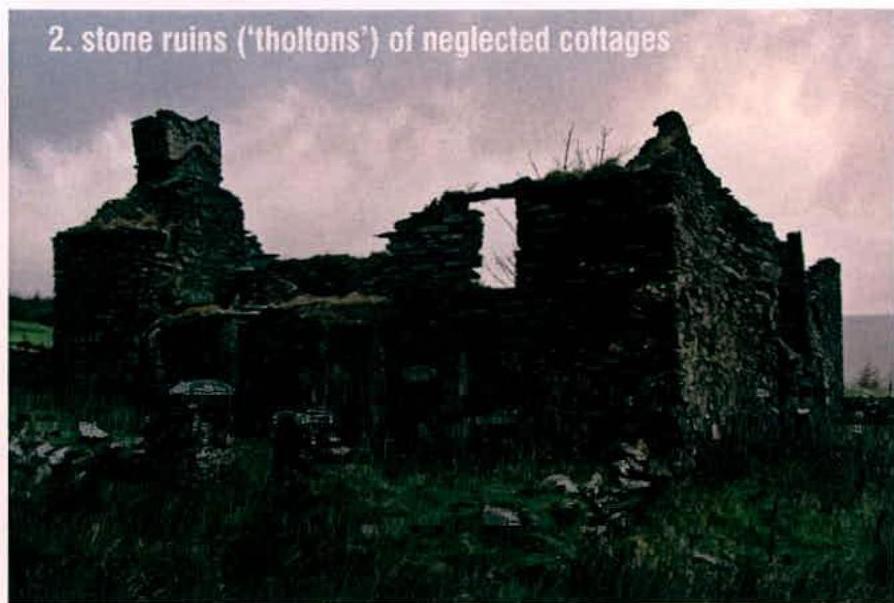 A photograph showing the dilapidated stone ruins of neglected cottages, identified as 'tholtons', with overgrown vegetation and no roof.