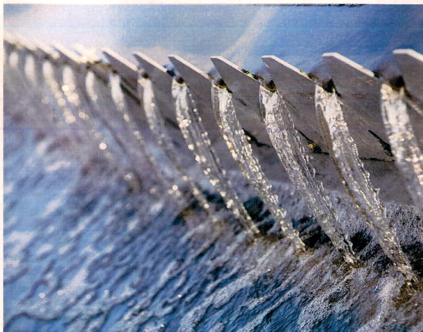 photograph from page 1