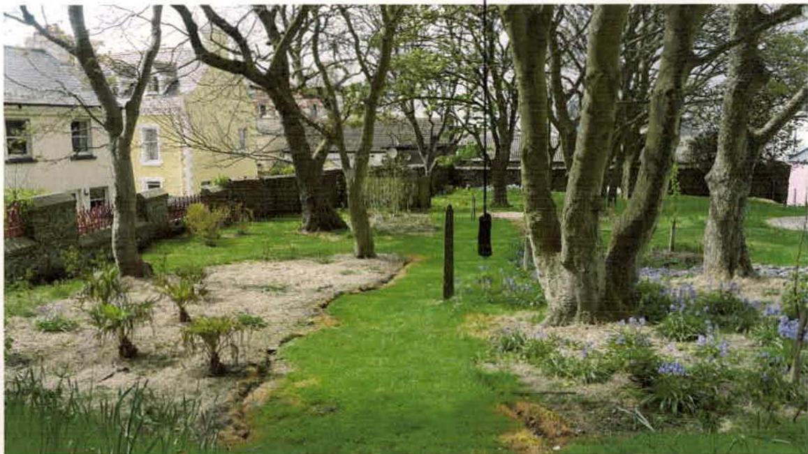 A photograph showing a grassy area with mature trees and a sandy patch, likely part of the Cathedral grounds mentioned in the application.