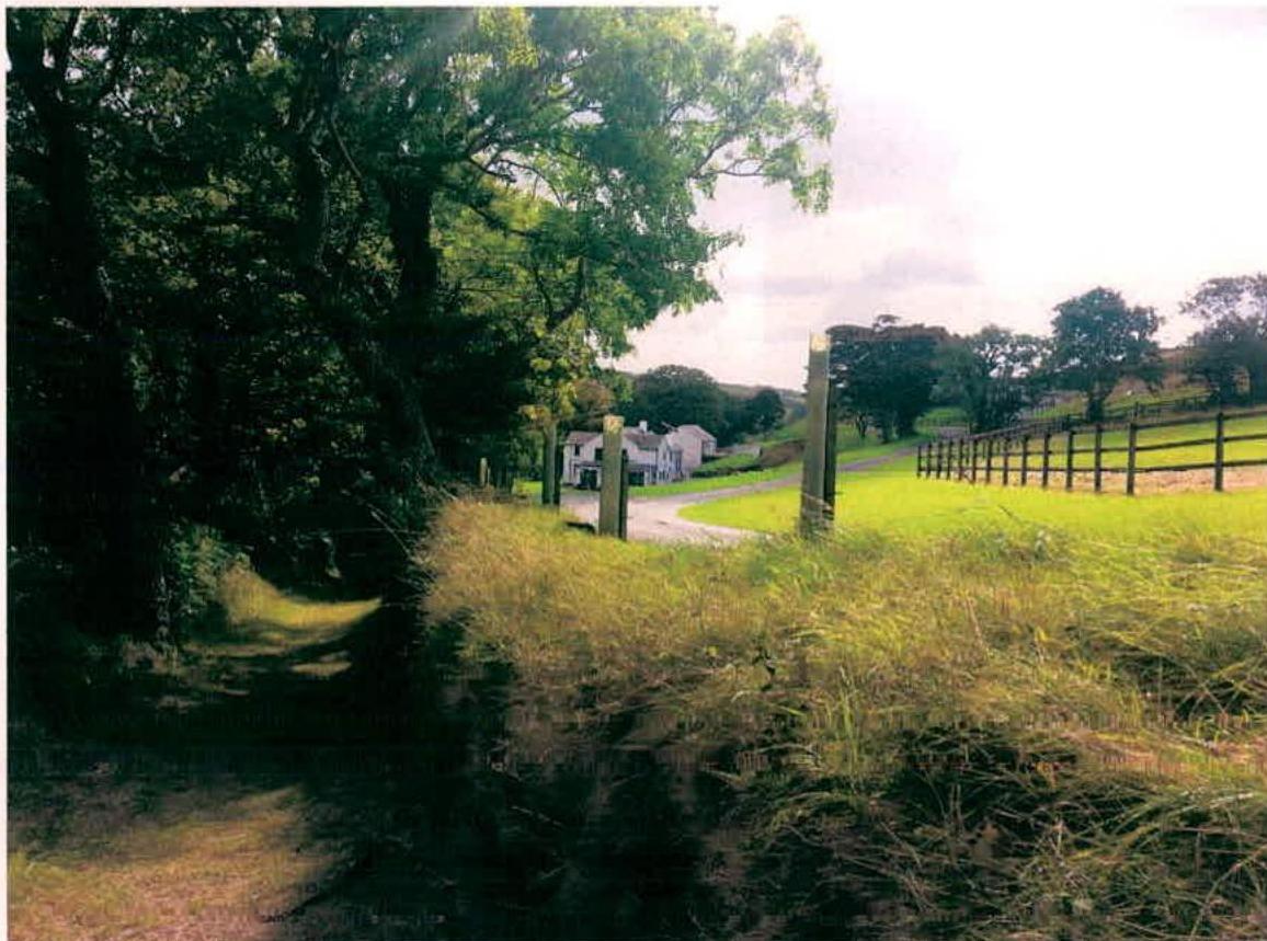 A photograph showing a rural driveway leading towards a white building, bordered by trees on the left and a fenced grassy field on the right.