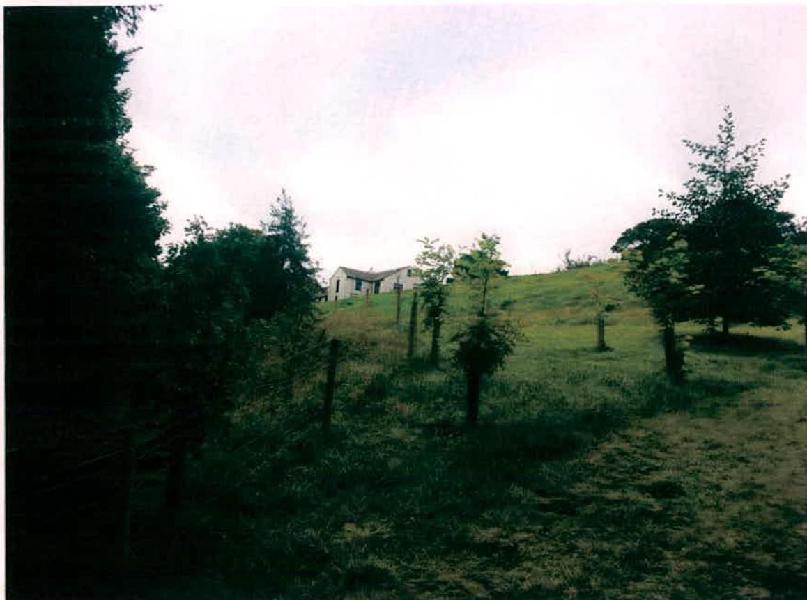 A photograph showing a white detached house situated on a grassy hillside with trees and fencing in the foreground.