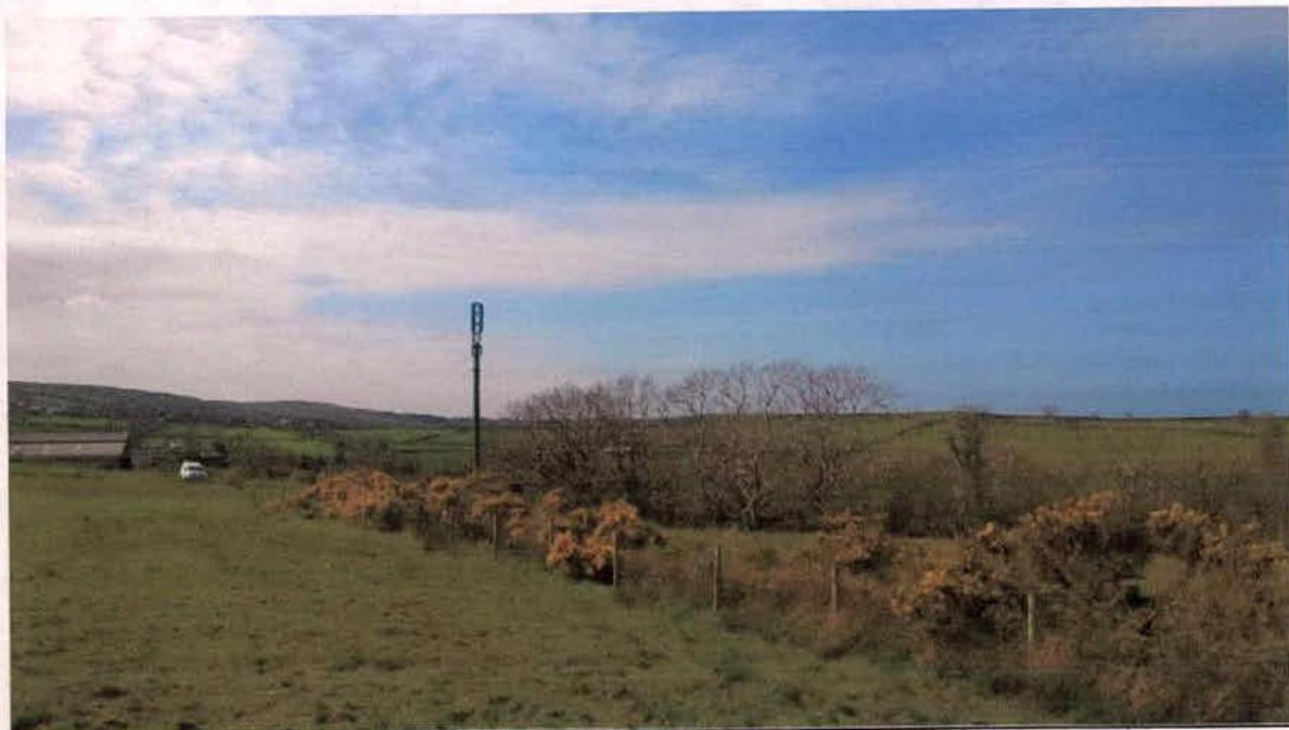 photograph from page 10