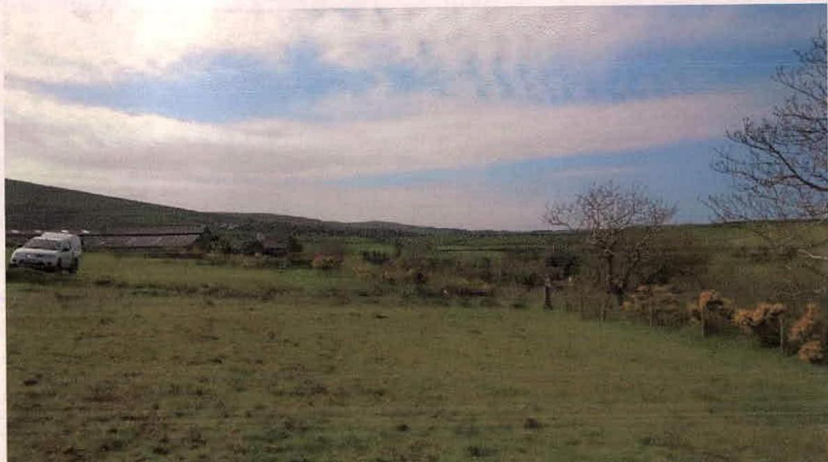 photograph from page 10