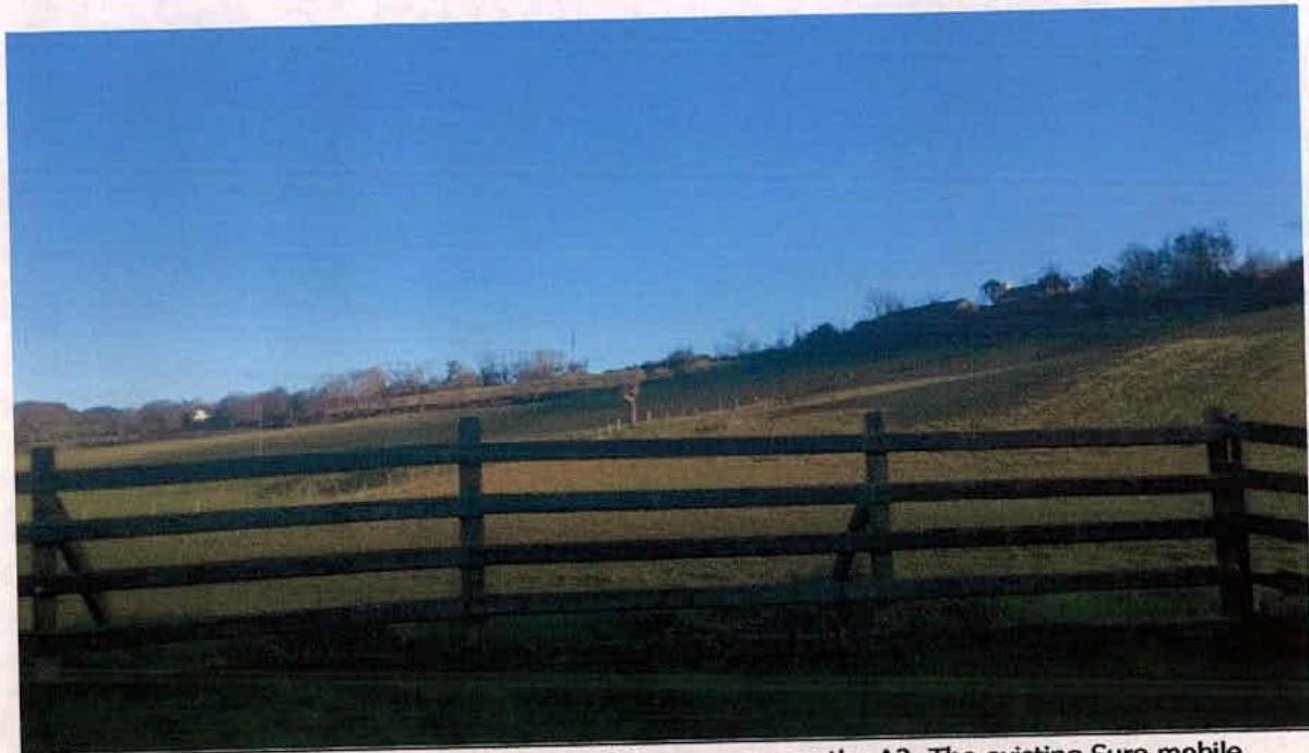 photograph from page 11