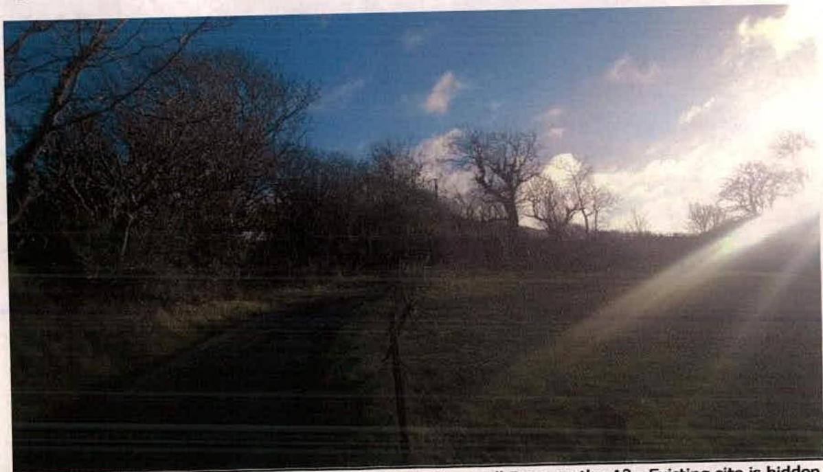 photograph from page 11