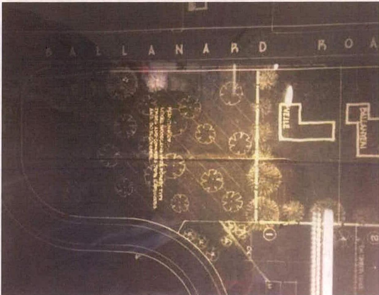 A site plan showing the layout of a plot on Ballanard Road with proposed building footprints, tree planting, and road access.
