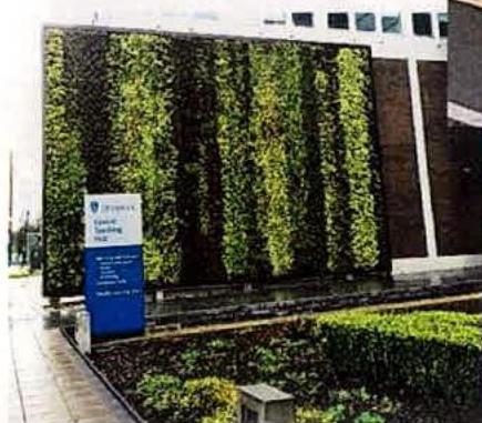 A photograph showing a large vertical living wall covered in vegetation on the side of a modern building, with a blue informational sign in the foreground.