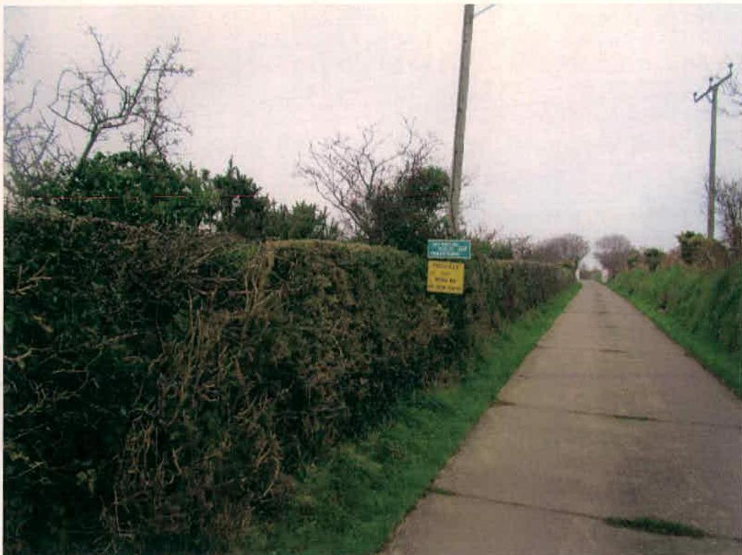 A photograph showing a narrow rural lane bordered by a tall green hedge on the left and a grassy verge on the right.