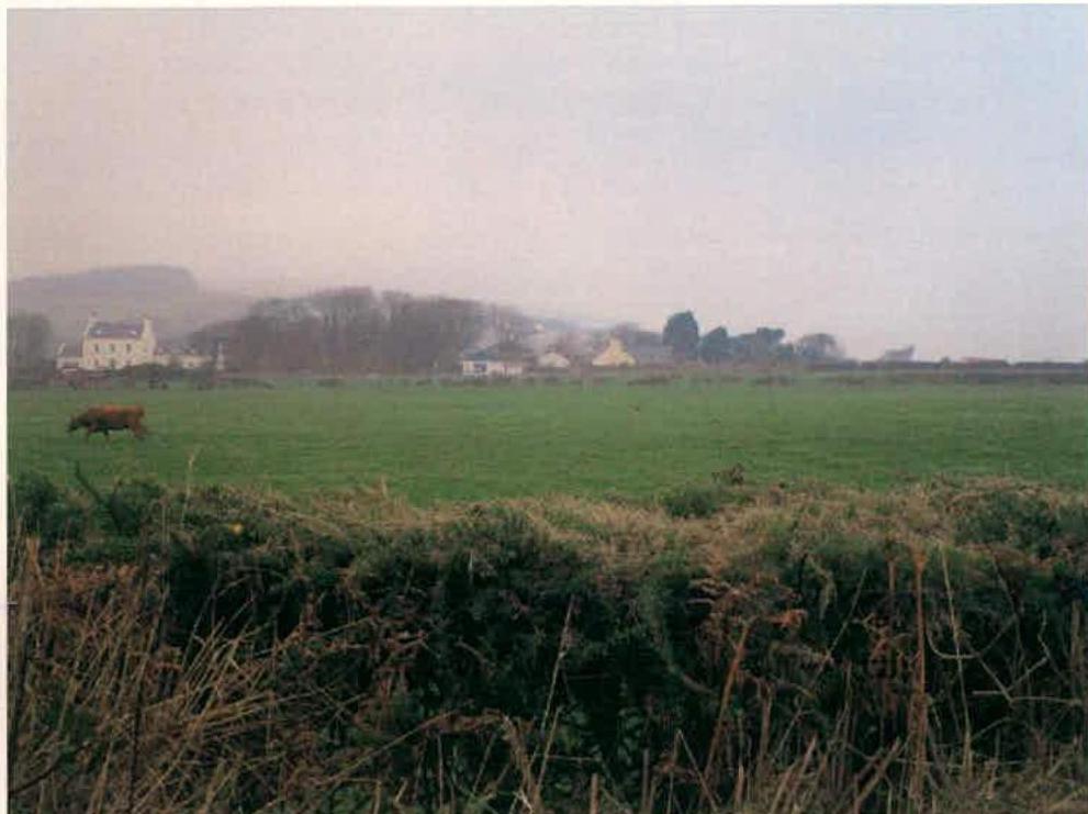 A rural landscape photograph showing a green field with a grazing cow in the foreground and houses in the distance under a hazy sky.