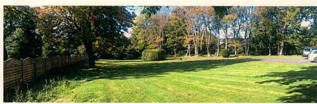 A panoramic photograph showing a large grassy lawn bordered by a wooden fence on the left and mature trees in the background, with a paved driveway and parked cars visible on the right.