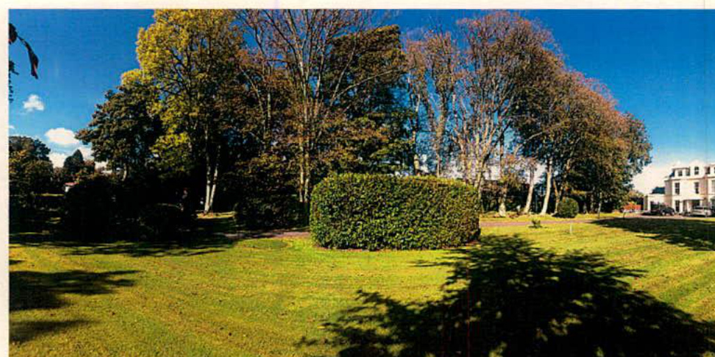 A photograph showing a grassy plot of land with a large central hedge and mature trees, with a white house visible in the background.