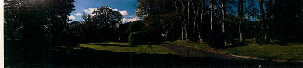 A panoramic photograph showing a grassy area with trees and a driveway or path leading into the background.