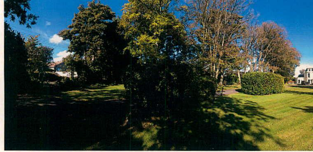 A photograph showing a grassy plot of land with mature trees and shrubbery, with glimpses of residential buildings in the background.