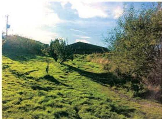 A photograph showing a grassy, sloping field with trees and vegetation, likely representing the site location for the proposed dog facilities.