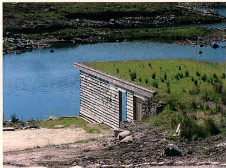 A perspective view of a small building with a green roof situated beside a body of water.