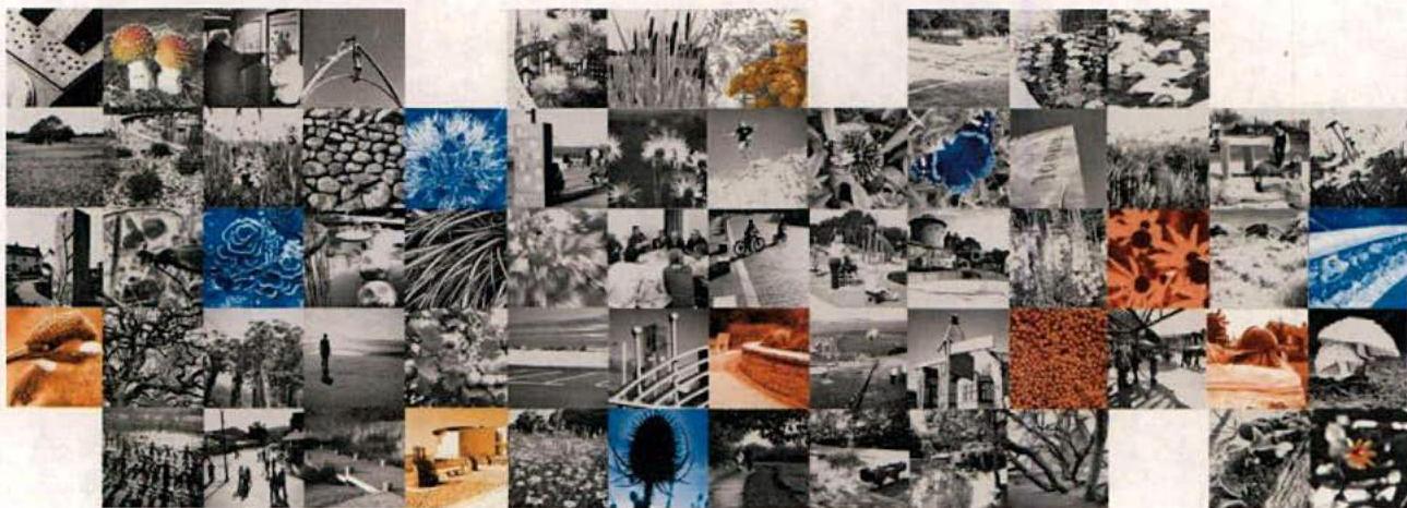 A grid collage of small photographs featuring nature, flowers, and various buildings.