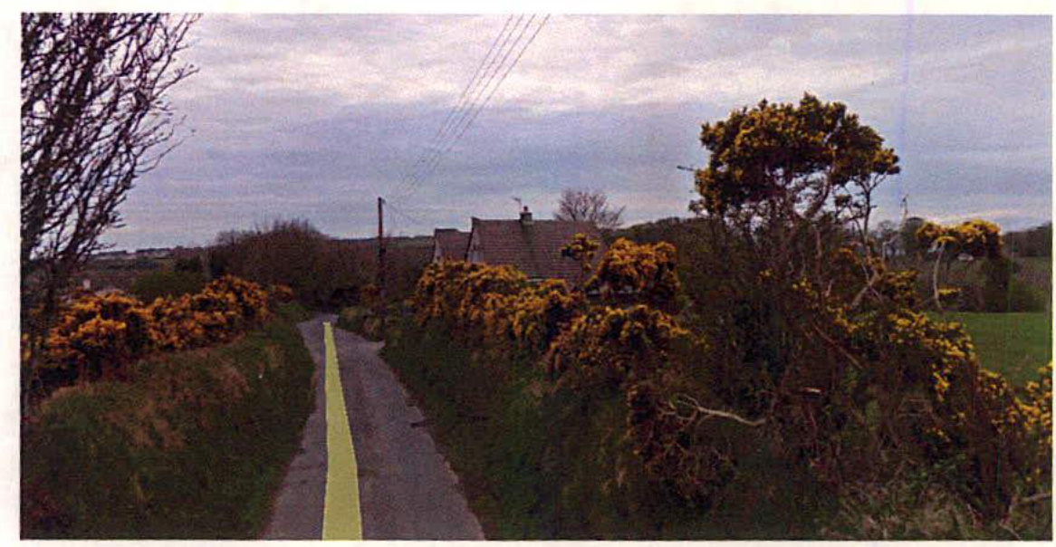 A photograph showing a narrow rural lane with a yellow center line, flanked by gorse bushes and hedgerows, with a house visible in the background.