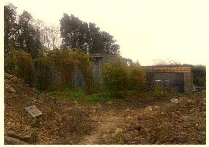 A grainy photograph showing an existing brick outbuilding or garage partially hidden by dense bushes and trees, with rough ground in the foreground.