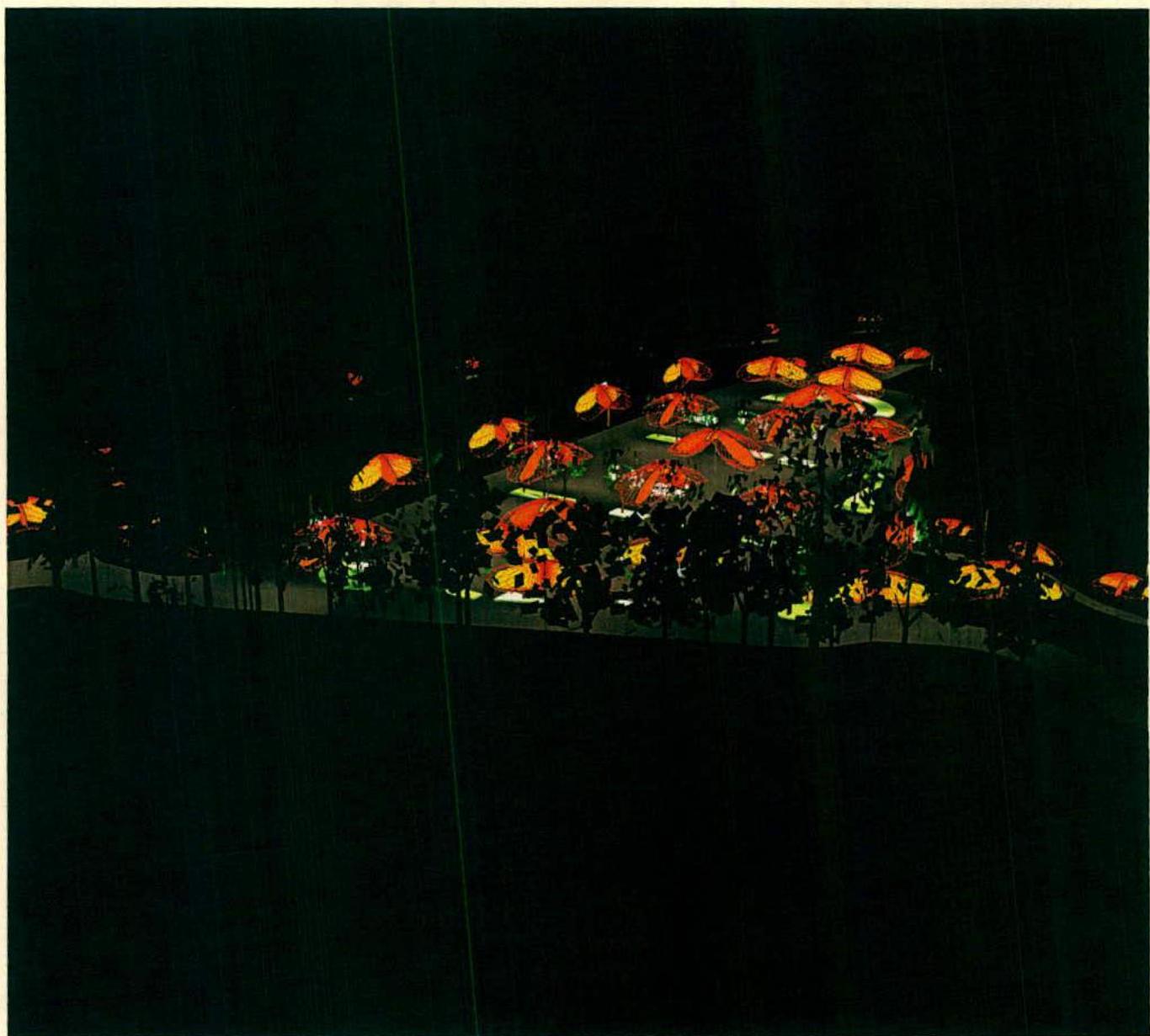 photograph from page 7