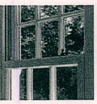 A grainy, black and white close-up photograph of a traditional multi-pane sash window reflecting trees.