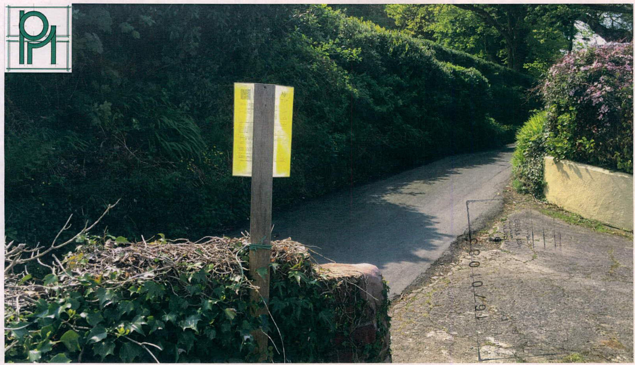 A photograph showing a yellow planning notice posted on a wooden post beside a rural road, surrounded by dense hedges and vegetation.