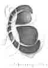 A very low-resolution, zoomed-in section of a document showing a curved line, likely a boundary on a site plan for the proposed fence or hedge replacement.