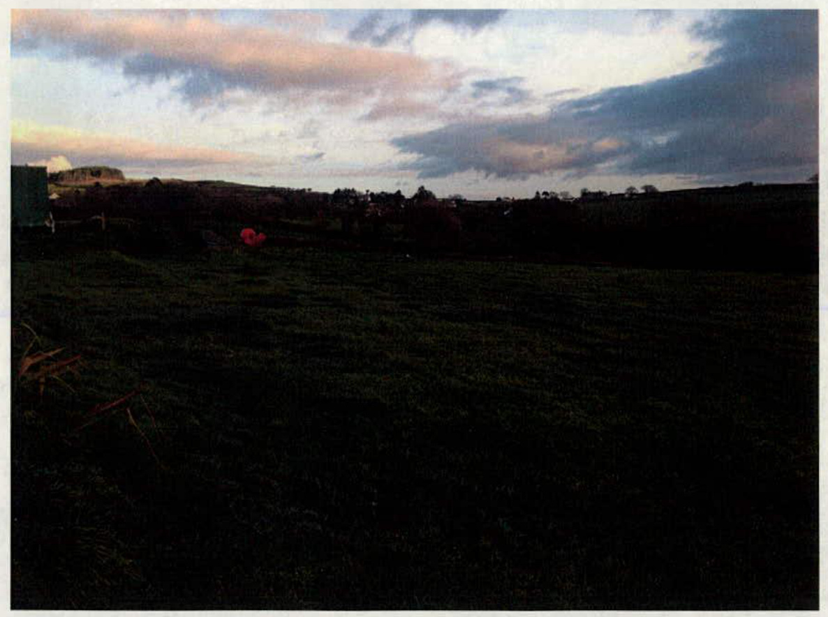 A low-light photograph showing a grassy field in the foreground with a distant horizon featuring buildings and a hill under a cloudy sky.