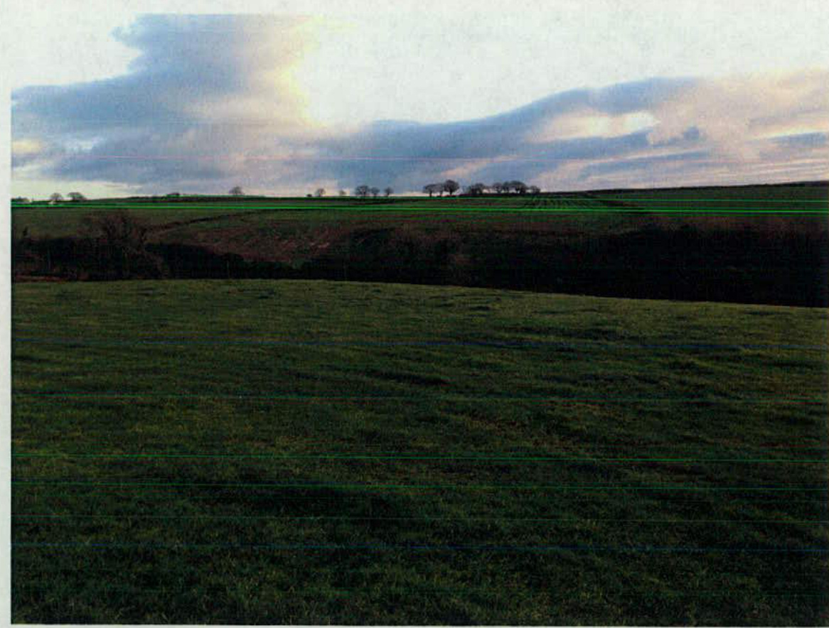 A photograph showing a grassy field and rural landscape with a line of trees on the horizon under a cloudy sky.