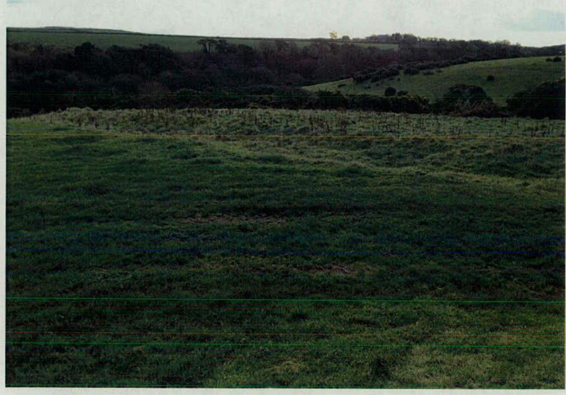 A photograph showing a grassy field with a dense line of trees and hedgerows in the background, representing the rural site.