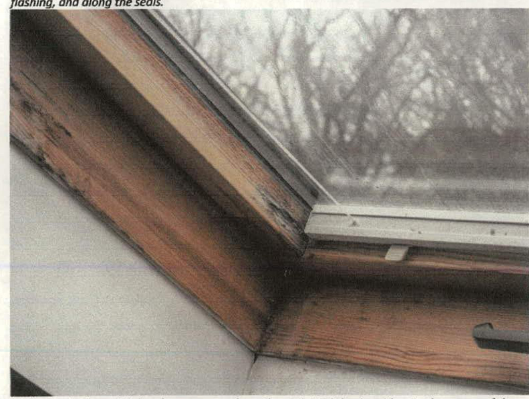 A close-up photograph showing a weathered wooden skylight frame with visible signs of wear and peeling paint, set against a background of trees.