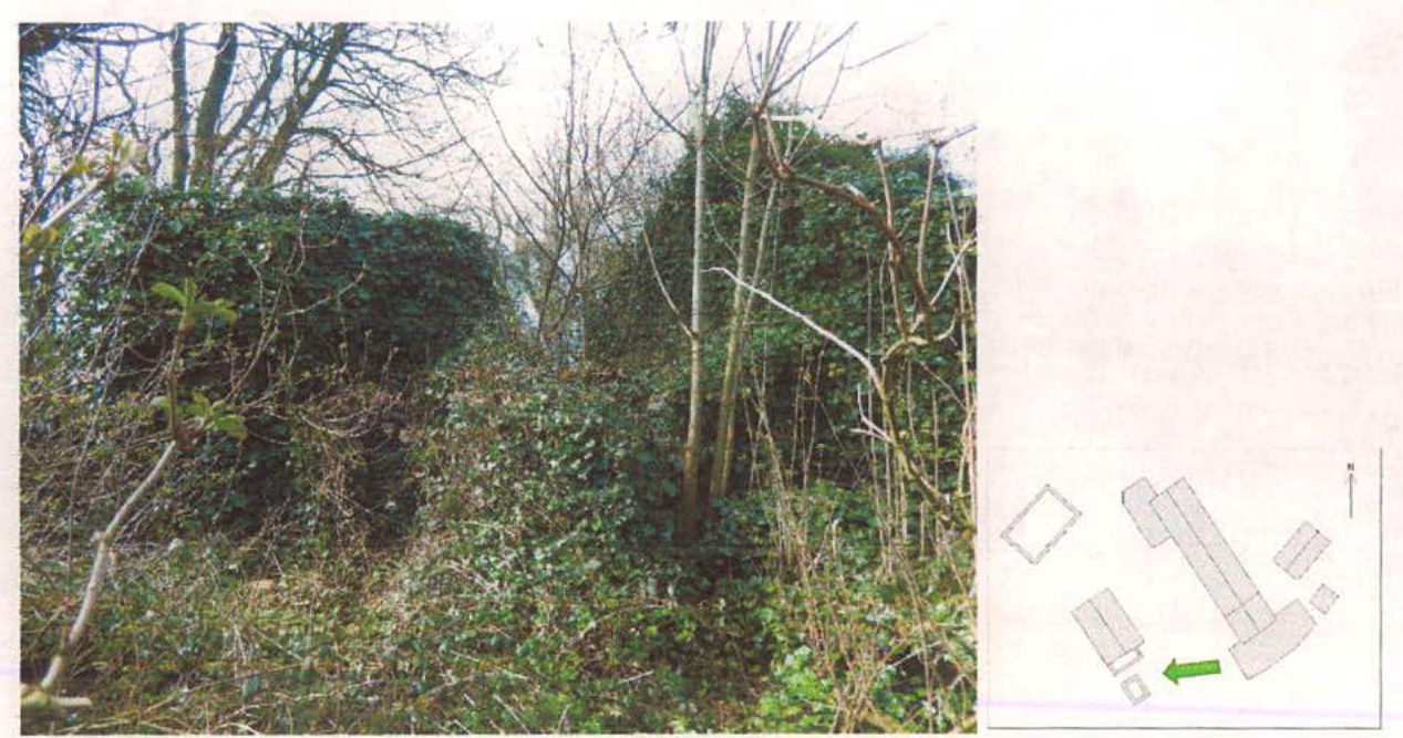 A composite image showing a photograph of overgrown ruins on the left and a hand-drawn site layout sketch on the right.