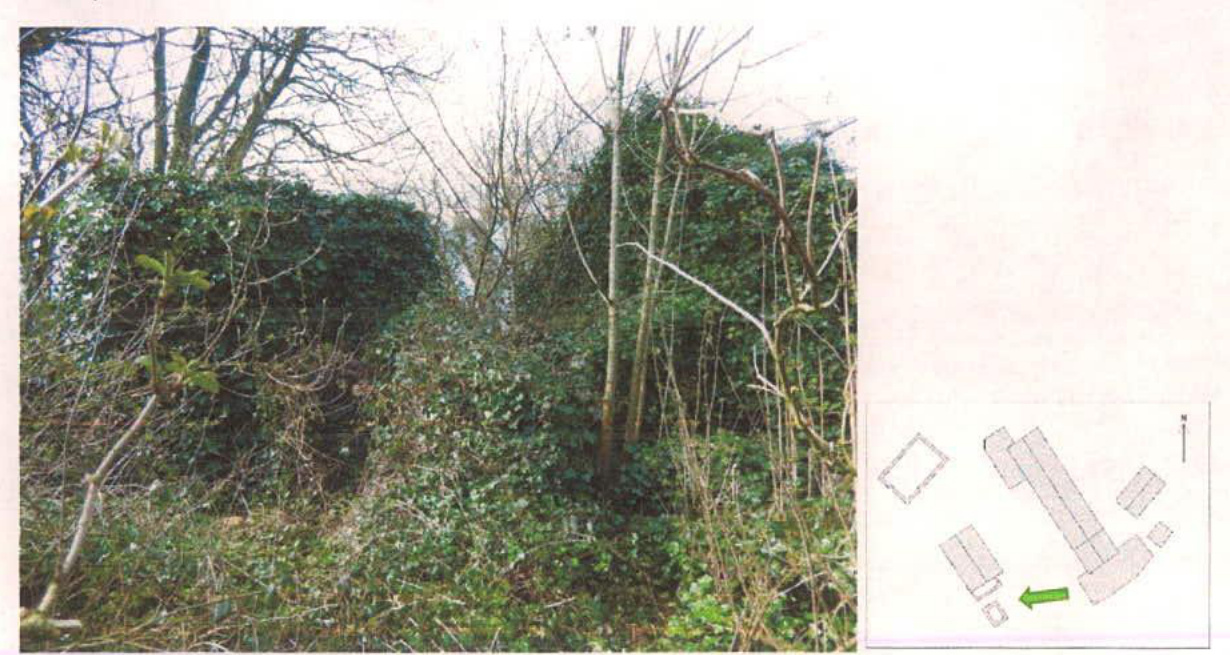 A composite image showing a photograph of overgrown ruins on the left and a small site plan inset on the right depicting building footprints.