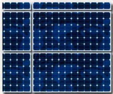 photograph from page 9