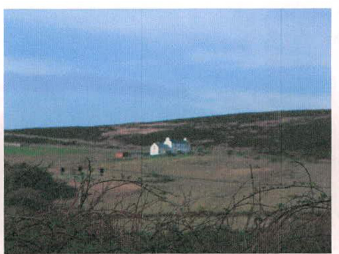 A grainy landscape photograph showing white buildings situated on a grassy hillside with scrubby vegetation in the foreground.