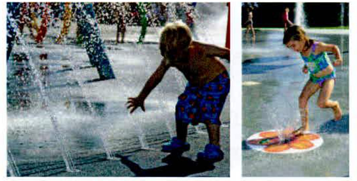 photograph from page 10