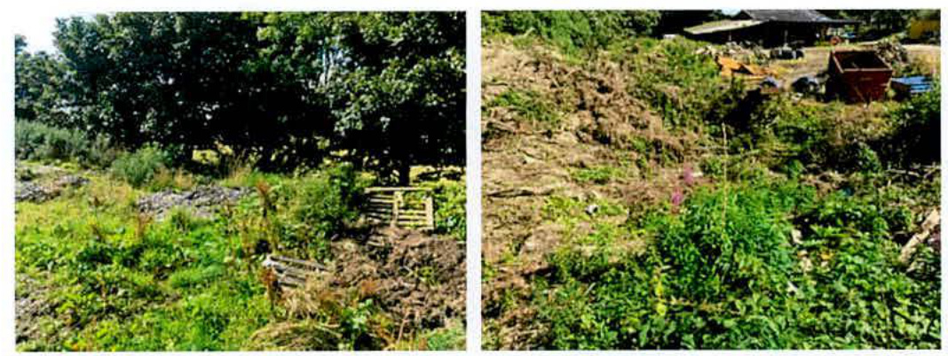 A split-view photograph showing the existing rural site conditions, featuring grassy terrain, trees, wooden fencing, and distant farm buildings.