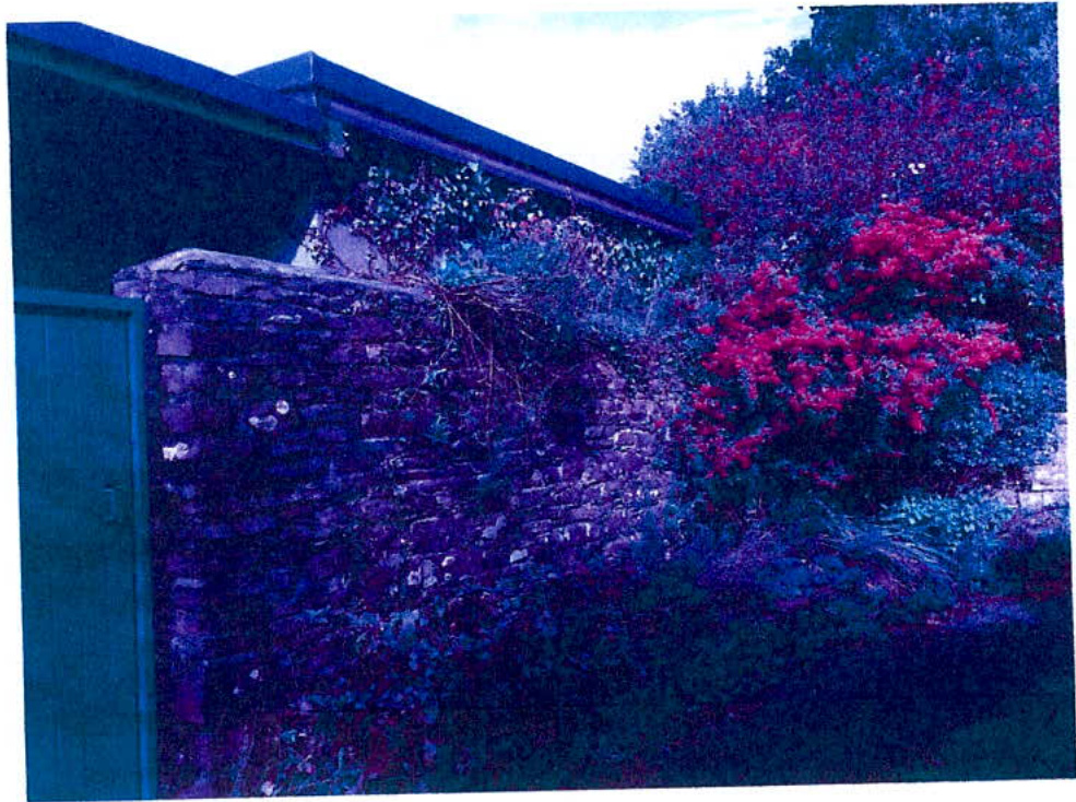 A color-distorted photograph showing a stone wall and roofline surrounded by dense vegetation and trees.