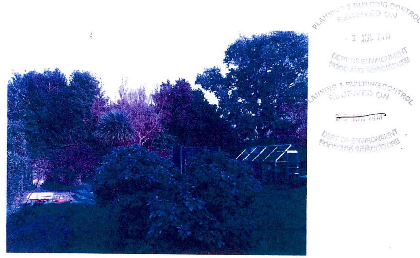 A blue-tinted photograph showing a garden area with dense trees and a greenhouse structure on the right side, stamped with planning department receipt dates.